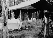 Joe Ladue's camp
