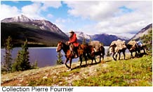 horseback riding