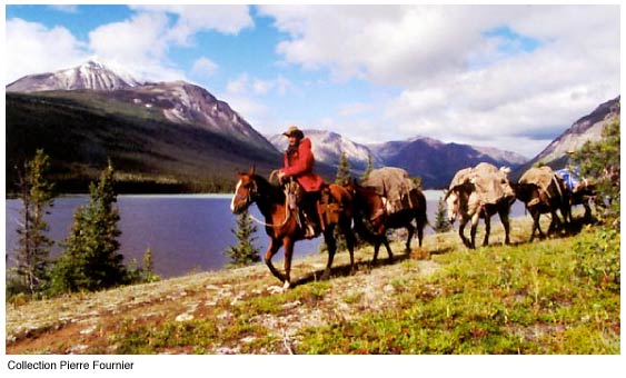 horseback riding