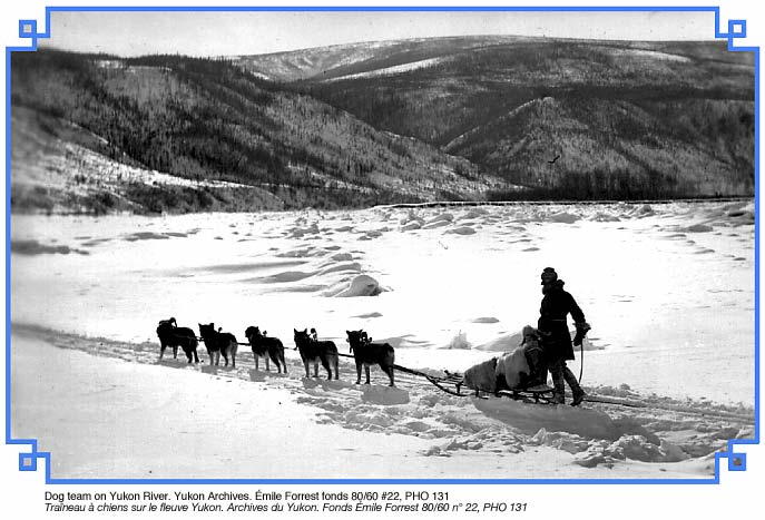 Dog mushing
