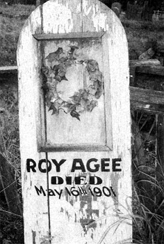 Roy Agee