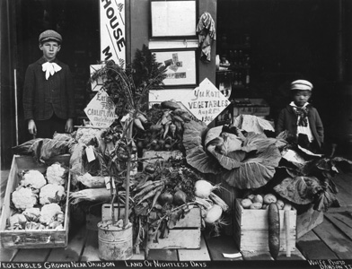 A child at a vegetable stand in Dawson City