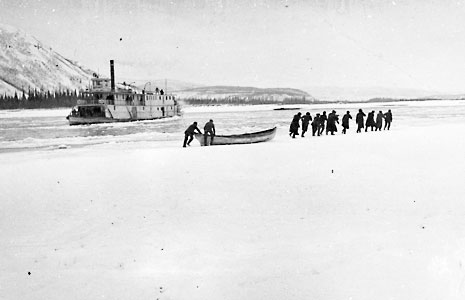 S.S. Vidette